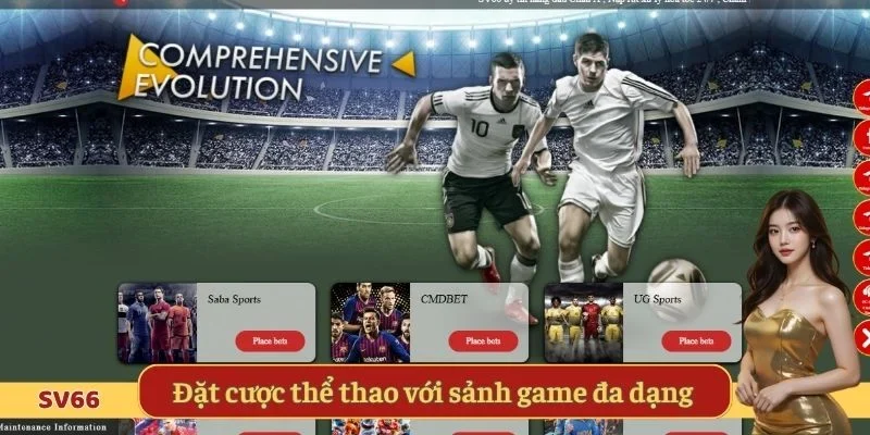 Đặt cược thể thao tại SV66 với nhiều sảnh game đa dạng 