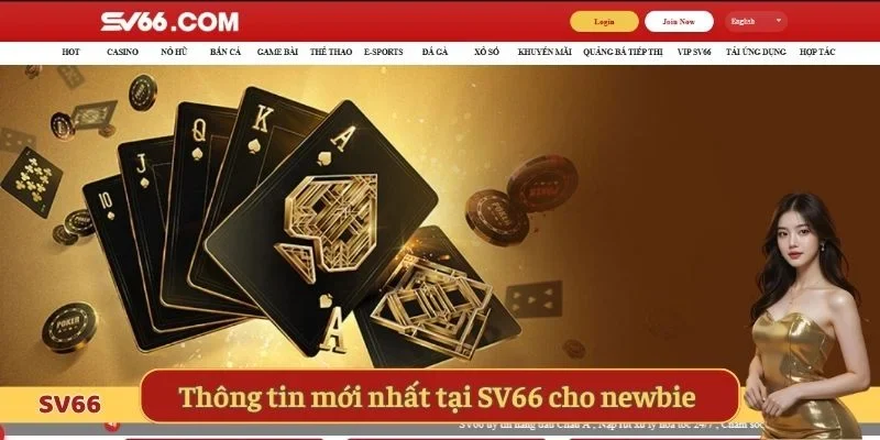 Thông tin mới nhất về nhà cái SV66 cho newbie 
